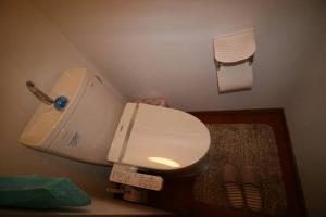 a small bathroom with a toilet in a room at 北軽井沢の貸別荘一棟貸し切り-庭とウッドデッキつき in Azumaiokozan