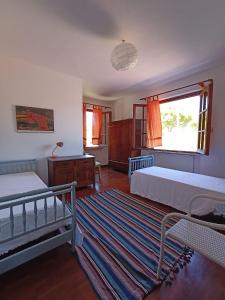 sypialnia z 2 łóżkami i dywanem w obiekcie Padullella, mare e sole!! w mieście Portoferraio