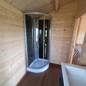 a sauna with a glass shower in a wooden room at Vakantiehuisje met keuken, 2 slaapkamers en woonkamer in Zwiggelte