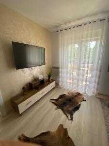 a living room with a flat screen tv and a large window at Apartman Zara Zlatar in Nova Varoš