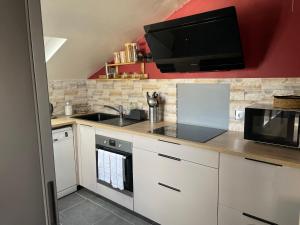 cocina con fregadero y TV en la pared en Grand Appartement Hypercentre avec Terrasse et Parking, en Poitiers