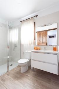 ein Bad mit einem WC, einem Waschbecken und einer Dusche in der Unterkunft Villa Rural La Zarza by Sunkeyrents in Fasnia