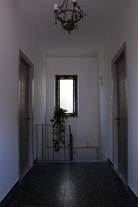 an empty hallway with a chandelier and a plant in it at La casa della zia in Albiano