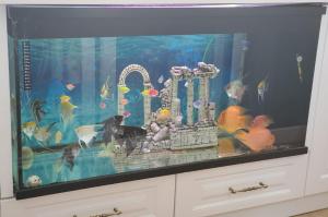 ein großes Aquarium mit einem großen Aquarium in der Unterkunft Apartamenti8 Korca in Korçë