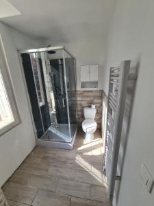 een badkamer met een toilet en een glazen douche bij Appartement 60m2 rdc avec jardin in Saint-Génis