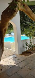 Πισίνα στο ή κοντά στο Vue Ocean