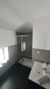 ein Bad mit einer Dusche und einem weißen Waschbecken in der Unterkunft L'Auberge du Campos in Saint-Pierre-Duchamp