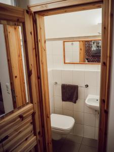 bagno con servizi igienici e lavandino di Alte Schmiede a Lüneburg