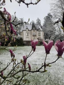 a tree with pink flowers in front of a house at Chateau Maleplane in Saint-Léonard-de-Noblat