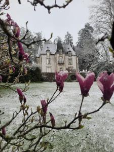 un árbol con flores rosas delante de una casa en Chateau Maleplane en Saint-Léonard-de-Noblat