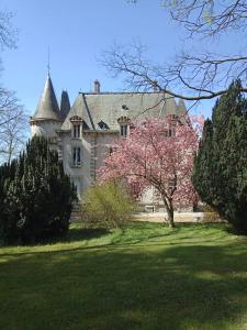 Fotografia z galérie ubytovania Chateau Maleplane v destinácii Saint-Léonard-de-Noblat