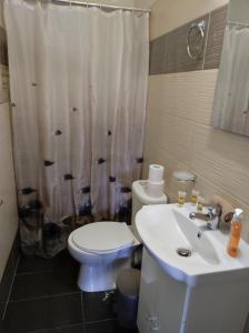a bathroom with a toilet and a sink and a shower at PHOENIX apartment near the airport in Markopoulo