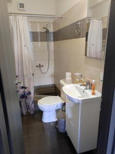 a bathroom with a toilet and a sink and a shower at PHOENIX apartment near the airport in Markopoulo