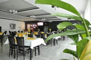 拉多姆斯科的住宿－MPM Sport HOTEL，一间配备有桌椅的用餐室和植物
