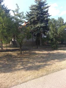 Bilde i galleriet til Bački Raj i Gornja Rogatica