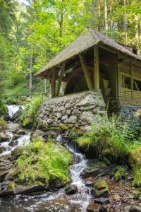 eine Hütte im Wald neben einem Bach in der Unterkunft Haus Panoramablick - Fewo Alpenblick, Höchenschwand in Höchenschwand