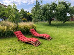 three red chairs sitting in the grass in a field at Ferienwohnung Appelbue in Bergenhusen