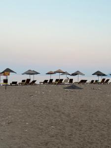 un grupo de sillas y sombrillas en una playa en Myland Nature, en Cıralı