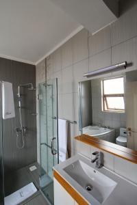 ナイロビにあるFenesi Gardens Apartmentsの洗面台、シャワー、鏡を備えたバスルーム