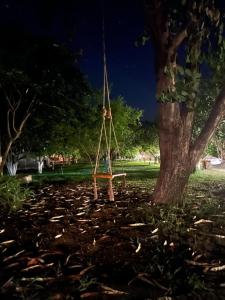 un columpio colgando de un árbol en un parque en Myland Nature, en Cıralı