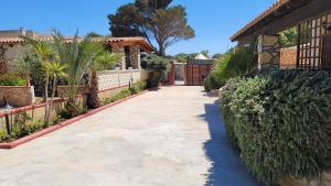 a driveway leading to a house with trees and bushes at Mamalù Deluxe in Lampedusa