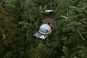 Κήπος έξω από το Bali Jungle Camping by Amerta Experience