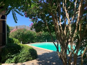 uma piscina com uma árvore ao lado de uma casa em Villa dans un cadre verdoyant , piscine et jardin em Porto-Vecchio