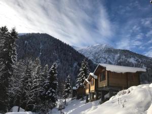 una cabaña de madera en la nieve con una montaña en Kardelen Bungalov Evleri̇ en Ayder Yaylasi
