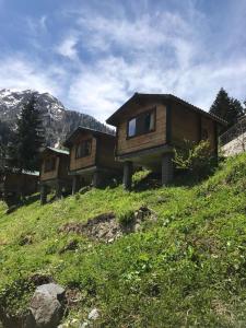 a row of wooden cabins on a hill at Kardelen Bungalov Evleri̇ in Ayder Yaylasi