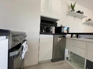 Kuchyňa alebo kuchynka v ubytovaní Modern Box Apartment