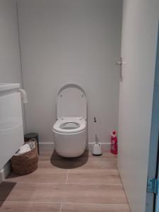 a bathroom with a toilet with the lid up at Rumah Senang Ewijk met royale tuin en hottub in Ewijk