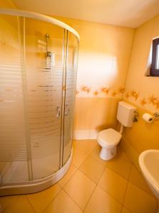 Sadu的住宿－Casa de vacanta Sadu，带淋浴、卫生间和盥洗盆的浴室
