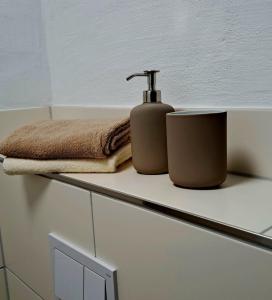a bathroom counter with a soap dispenser and a towel at Ferienapartment-Barbara in Langscheid
