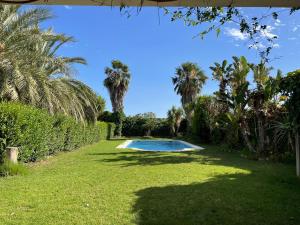 a swimming pool in the middle of a lawn with palm trees at Cortijo CANO in Cuevas del Almanzora