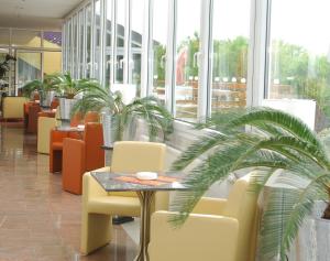 ein Restaurant mit Stühlen, einem Tisch und einer Pflanze in der Unterkunft Hotel Scheidberg Wallerfangen bei Saarlouis in Wallerfangen