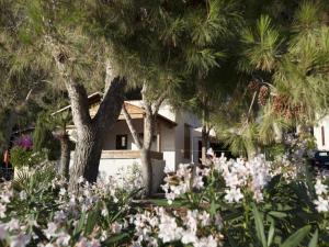クストナーチにあるCASA CON VERANDE SUL MARE a 2 MINUTI A PIEDI DALLA SPIAGGIAの家の前の木々と花の庭園