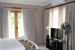 a bedroom with a bed and a fan and a television at Salveo Self-Catering Accommodation in Kimberley