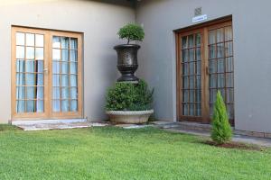 a house with a vase with a tree in it at Salveo Self-Catering Accommodation in Kimberley