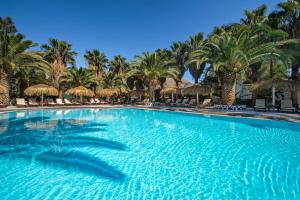 a large swimming pool with palm trees in the background at Meltemi Village Hotel in Perissa