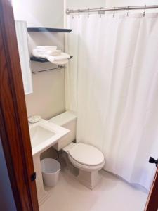 a bathroom with a toilet and a sink and a shower at 3BD/2BA in Historic Hyde Park Neighborhood w/ Parking Near University of Chicago in Chicago