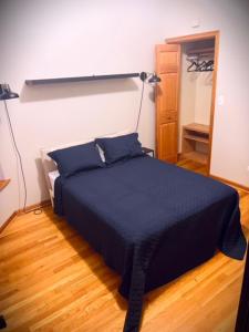a bedroom with a blue bed in a room at 3BD/2BA in Historic Hyde Park Neighborhood w/ Parking Near University of Chicago in Chicago