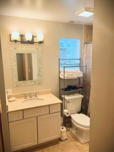 a bathroom with a toilet and a sink and a mirror at 3BD/2BA in Historic Hyde Park Neighborhood w/ Parking Near University of Chicago in Chicago