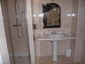 a bathroom with a sink and a shower with a mirror at La Cameline in Plougasnou