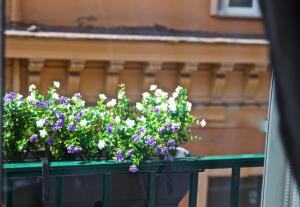 Scugnizzo Apartment Luxury Home في نابولي: مجموعة من الزهور الأرجوانية والأبيض على الشرفة