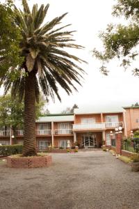 a palm tree in front of a building at Hotel Mount Maluti - Lesotho in Mohales Hoek