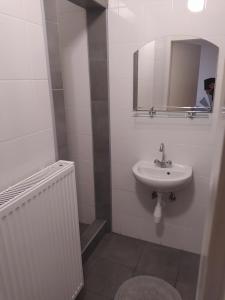 Koupelna v ubytování Pingpong Apartman