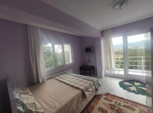 - une chambre avec un lit et 2 fenêtres dans l'établissement Kaplan Apart - Pansiyon, à Yeşilova