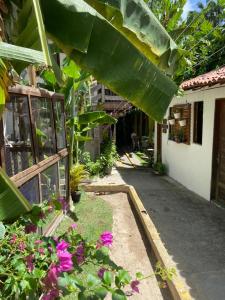 an alley with a bunch of plants and flowers at Pousada Alquimia in Olinda