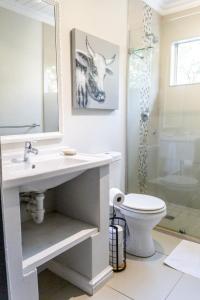 łazienka z umywalką i toaletą w obiekcie Seagull Apartment Hermanus w mieście Hermanus