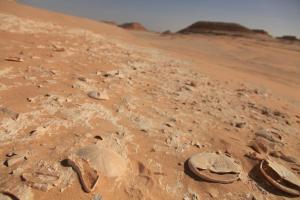 Φωτογραφία από το άλμπουμ του Taziry Ecolodge Siwa σε Siwa